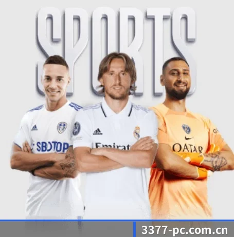 3377体育 APP